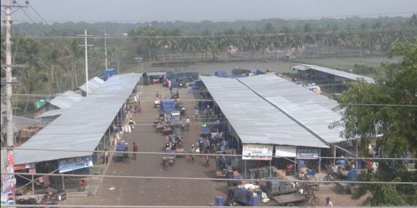 আবাসন গিলছে কৃষি জমি, খাদ্য সংকটের শঙ্কা